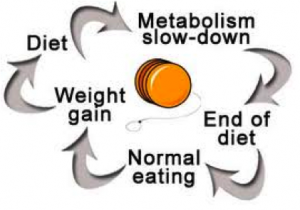 Metabolic cycle