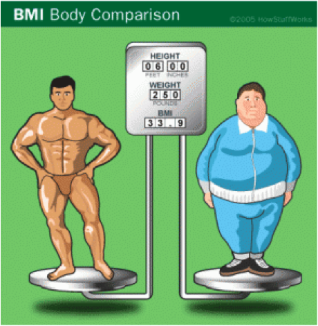BMI & Body Composition